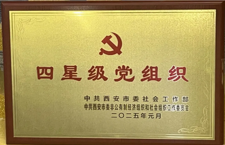 ��Ļ��ͼ 2025-04-11 181929